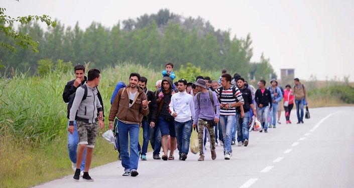 Migrants, .mostly from Syria, headed for EU member Hungary, walk in groups towards Hungary in Kanjiza, North Serbia, near the Hungarian border